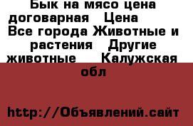 Бык на мясо цена договарная › Цена ­ 300 - Все города Животные и растения » Другие животные   . Калужская обл.